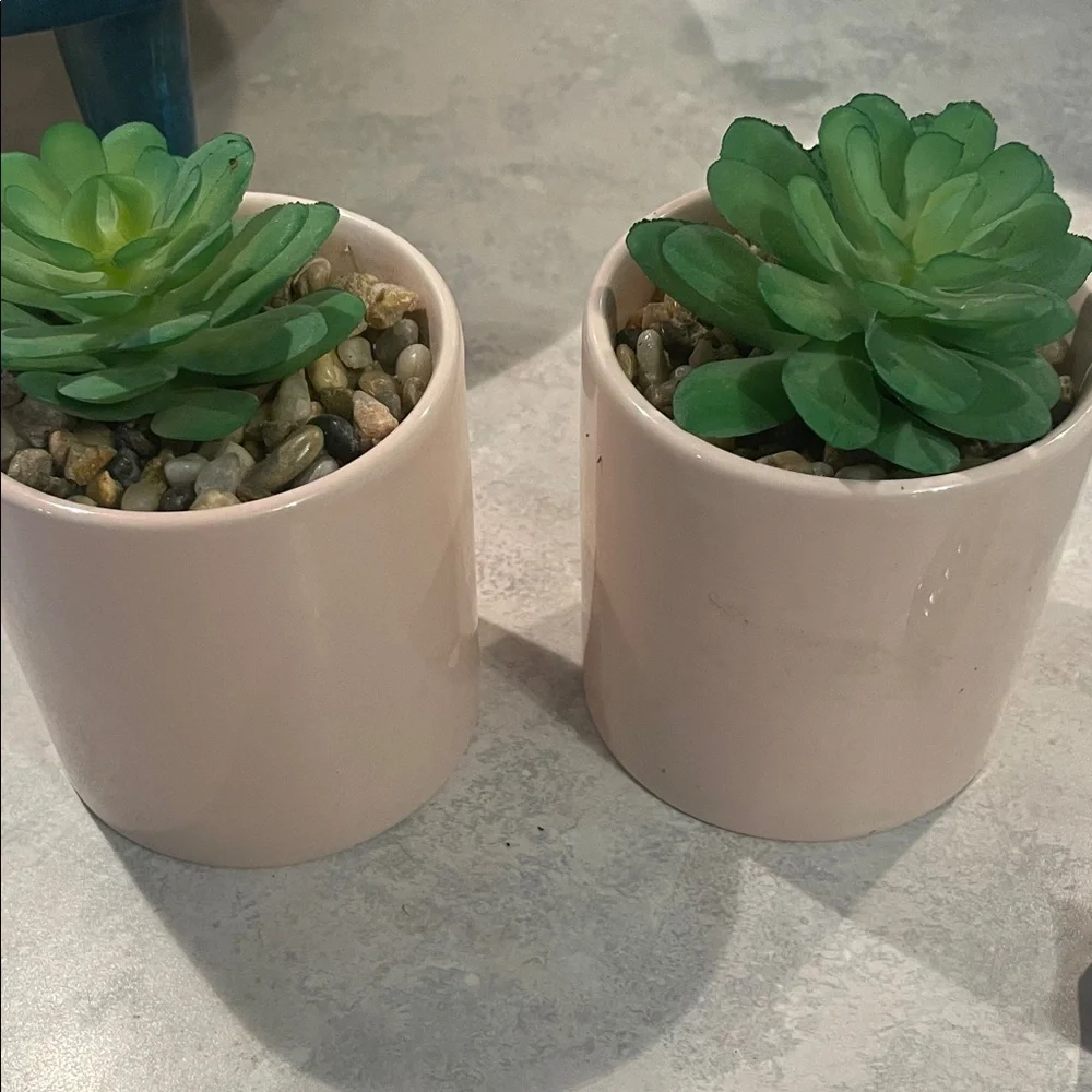 Assorted Faux Succulent Planter Set